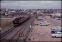T08100.jpg