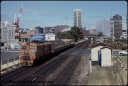 T08104.jpg