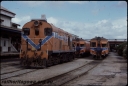 T08105.jpg