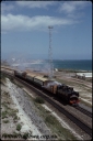 T08113.jpg