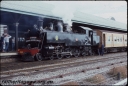 T08117.jpg