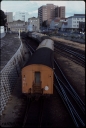T08118.jpg