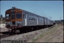 T08119.jpg