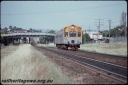 T08121.jpg