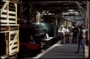 T08126.jpg