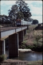 T08128.jpg
