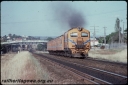 T08133.jpg