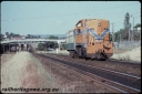 T08134.jpg