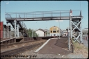Filename=T08159.jpg
Filesize=287KiB
Dimensions=800x535
Date added=Apr 29, 2024 T08159.jpg