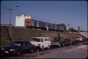 T08185.jpg