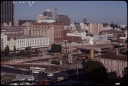 T08189.jpg