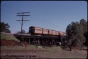 T08191.jpg