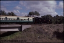 T08194.jpg