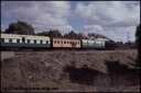 T08195.jpg