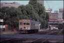 T08198.jpg