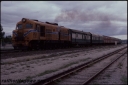 T08203.jpg
