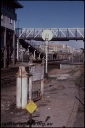 T08205.jpg