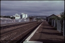 T08206.jpg