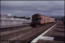 T08207.jpg