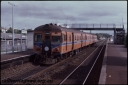 T08208.jpg