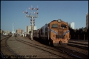 T08210.jpg