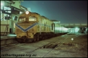 T08213.jpg