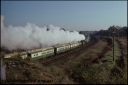 T08215.jpg