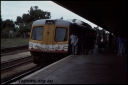 T08217.jpg