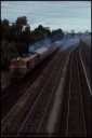 T08218.jpg