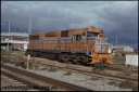 T08219.jpg