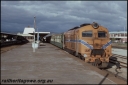 T08220.jpg