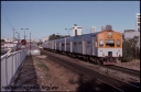 Filename=T08229.jpg
Filesize=247KiB
Dimensions=800x531
Date added=Apr 29, 2024 T08229.jpg
