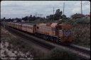 T08241.jpg