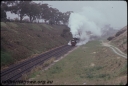 T08244.jpg