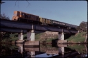T08248.jpg