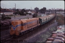T08251.jpg