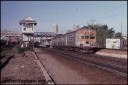 T08262.jpg