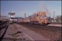 T08263.jpg