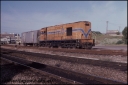 T08265.jpg