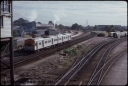 T08270.jpg