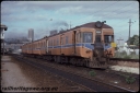 T08271.jpg