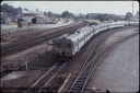 T08272.jpg