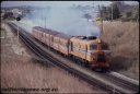 T08274.jpg