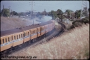 T08275.jpg