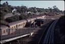 T08278.jpg
