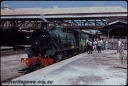 T08282.jpg