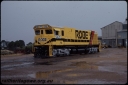 T08290.jpg
