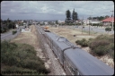 T08296.jpg