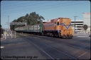 T08301.jpg