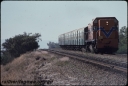T08302.jpg